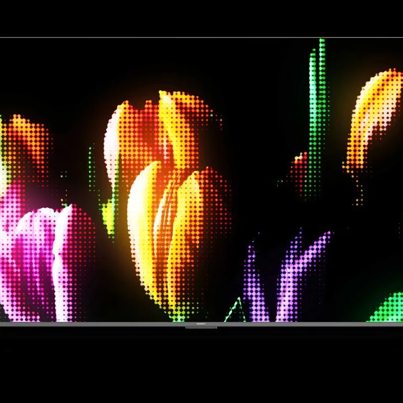 Cactus image 3