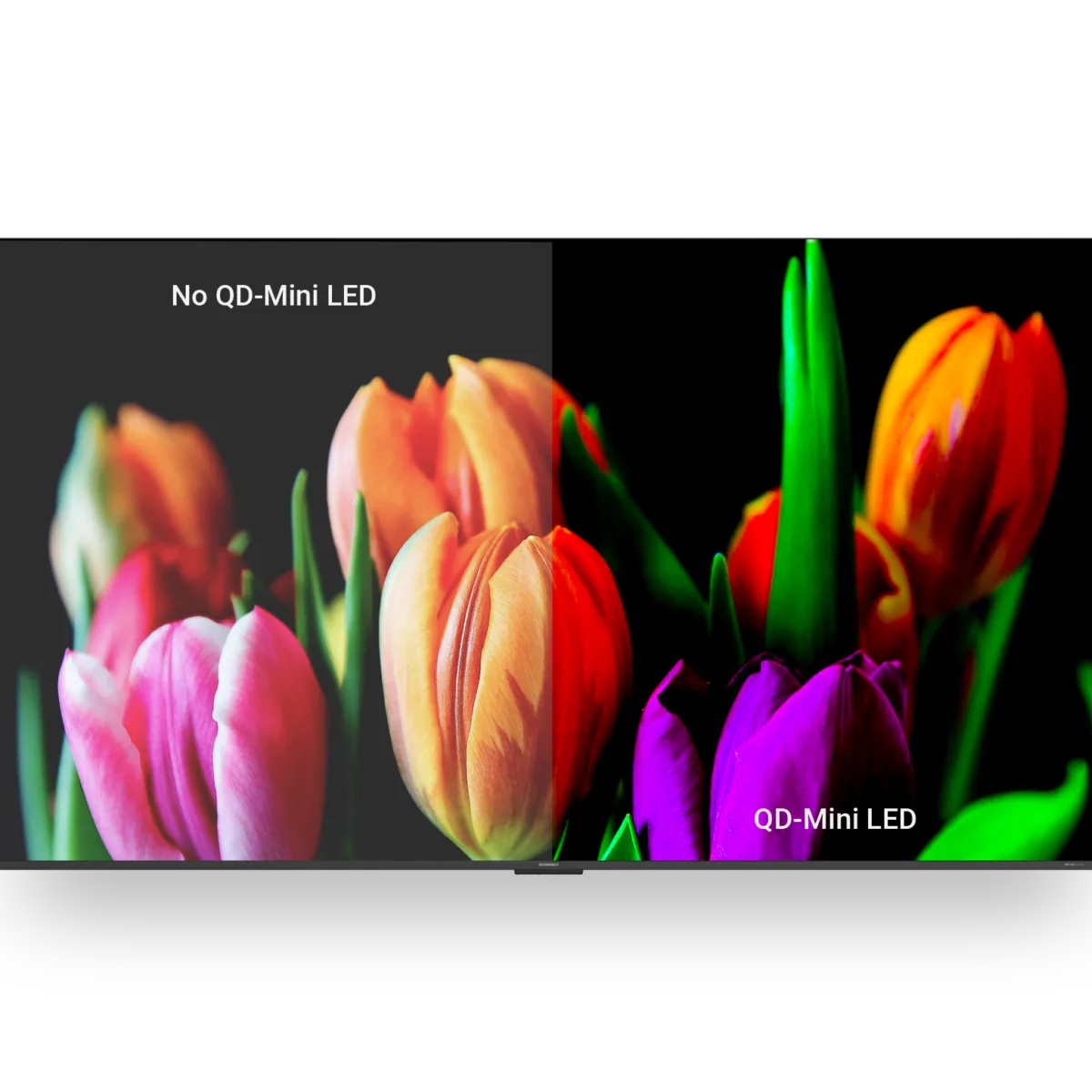 I3 CONNECT Cactus QD Mini Led More Space