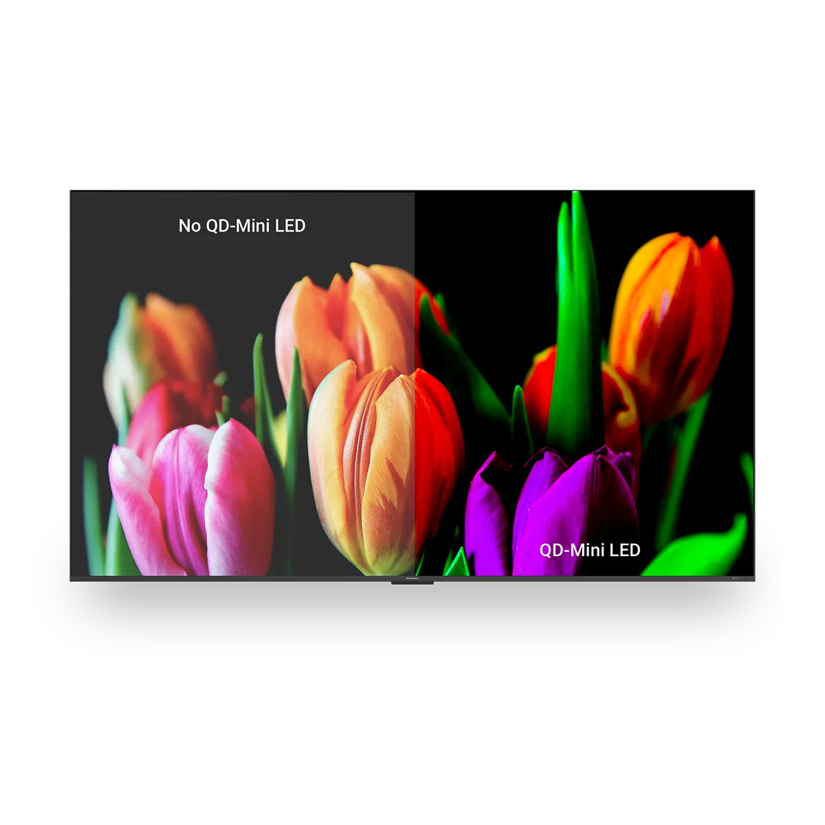 Cactus QDMINILED 1200x1200